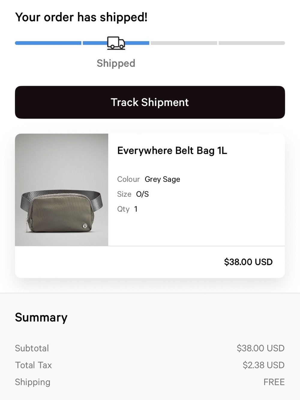 Everywhere Belt Bag 1L in Grey Sage